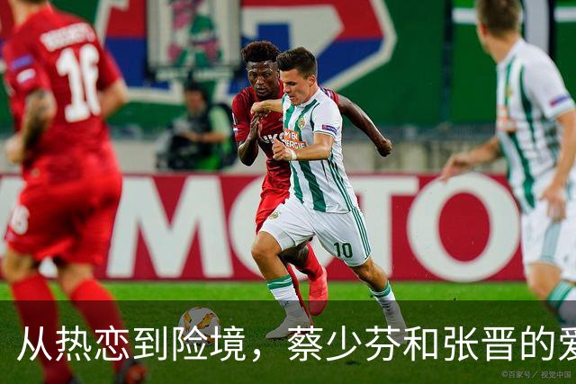从热恋到险境，蔡少芬和张晋的爱情幸福成神话